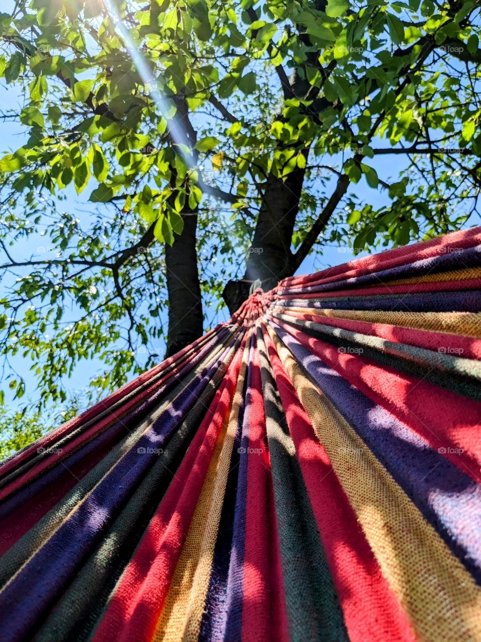 A hammock hanging on a tree