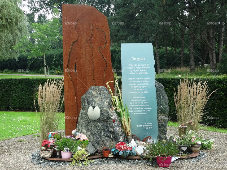 Resting place at nature cemetery