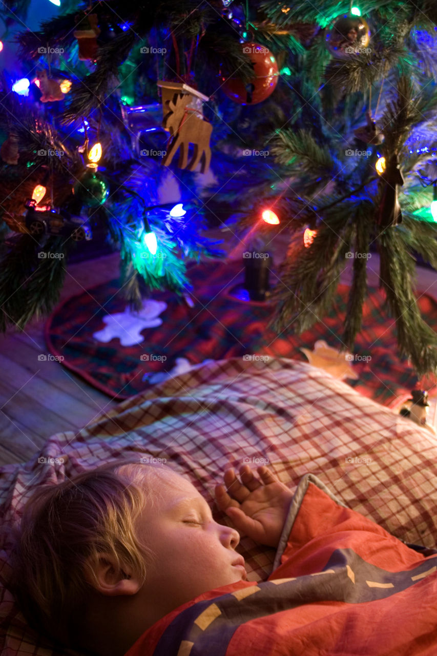 Dreams of Sugar Plums. A child sleeps under the tree, dreaming of holidays to come.