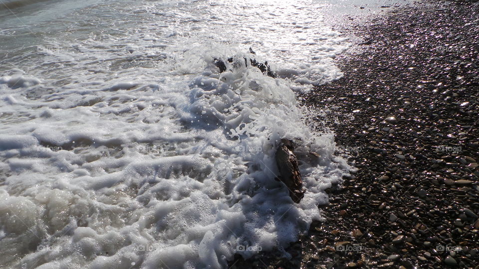 A sea wave rolls on a log during a storm.