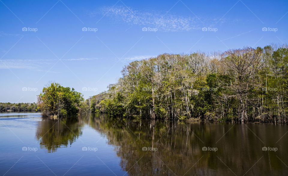 Lake view in central Florida while camping 