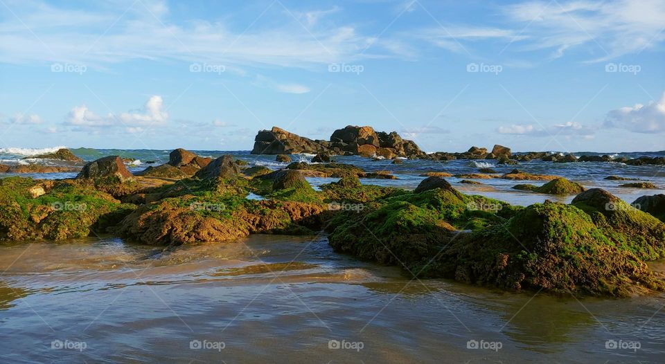 beach captured