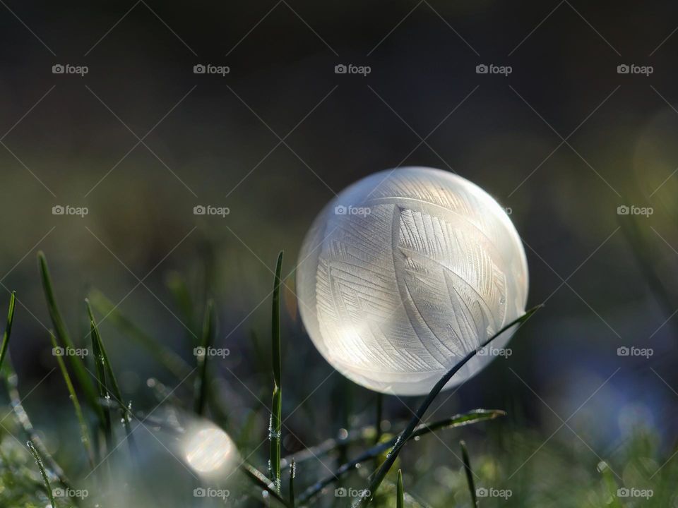 Frozen soap bubble