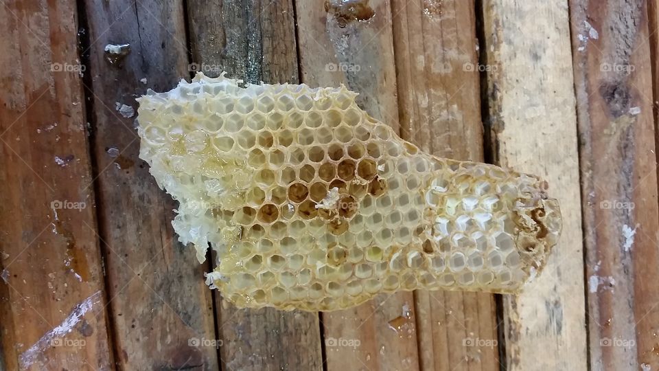 honeycomb