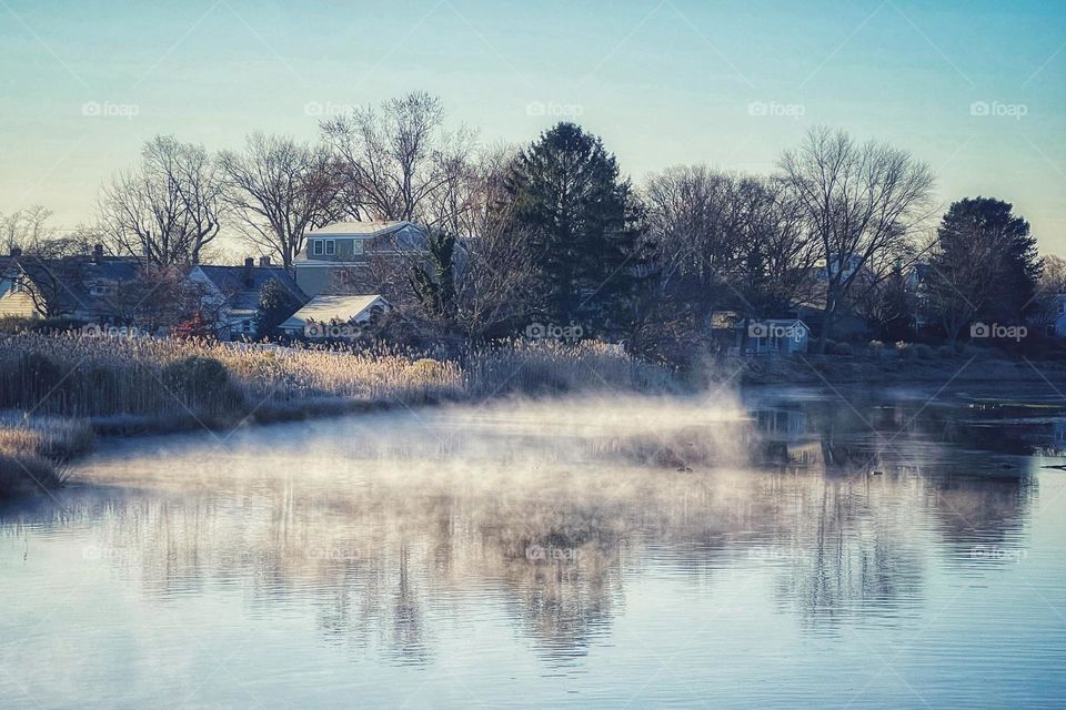 Misty morning in New England 
