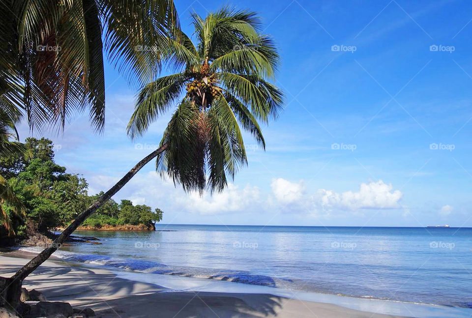 Travel around the world