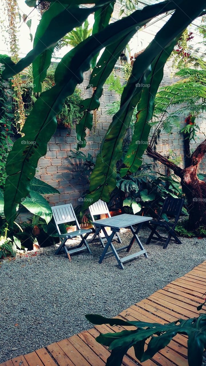 a corner in the garden