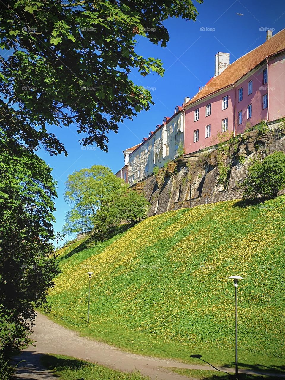 cityscape, houses on the hill, Tallinn, Estonia 