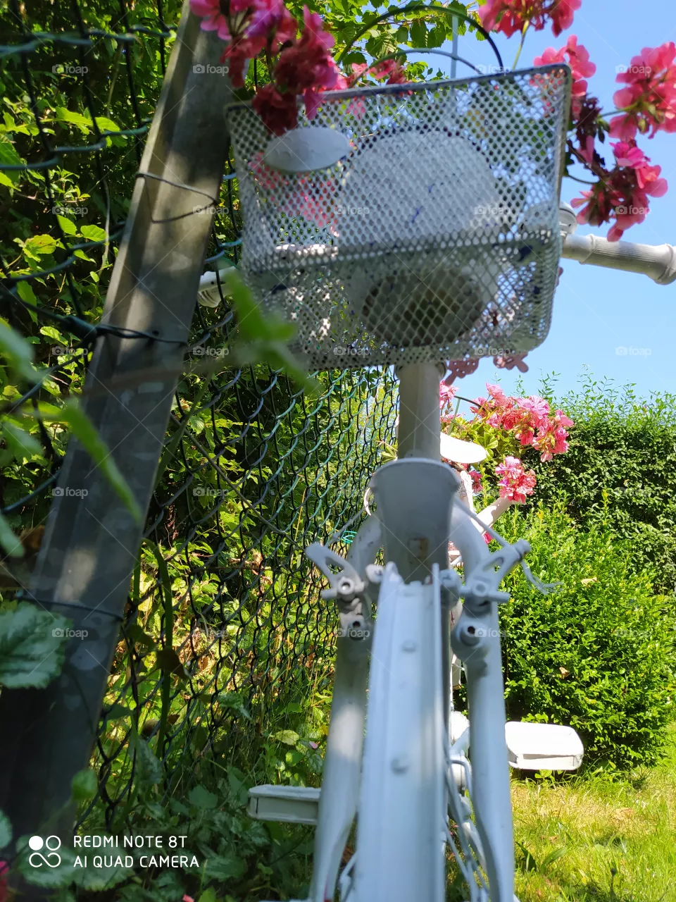 flower bike