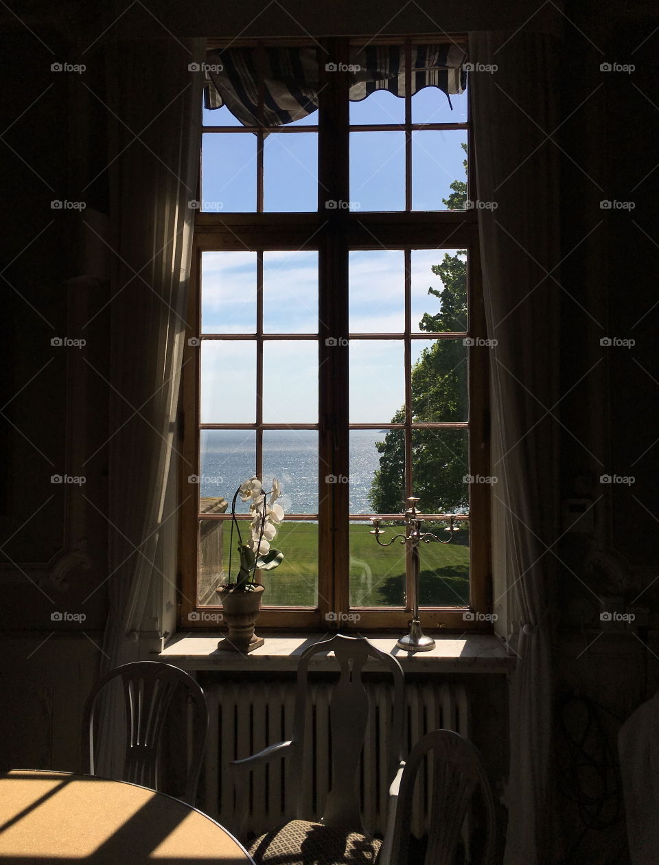 Window with a view