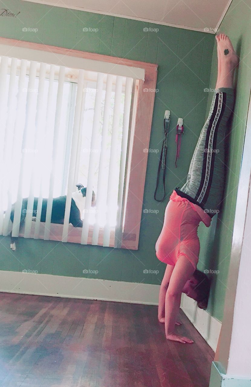 What it really means to chill with you dog 