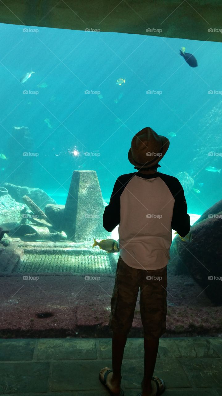 Underwater Aquarium