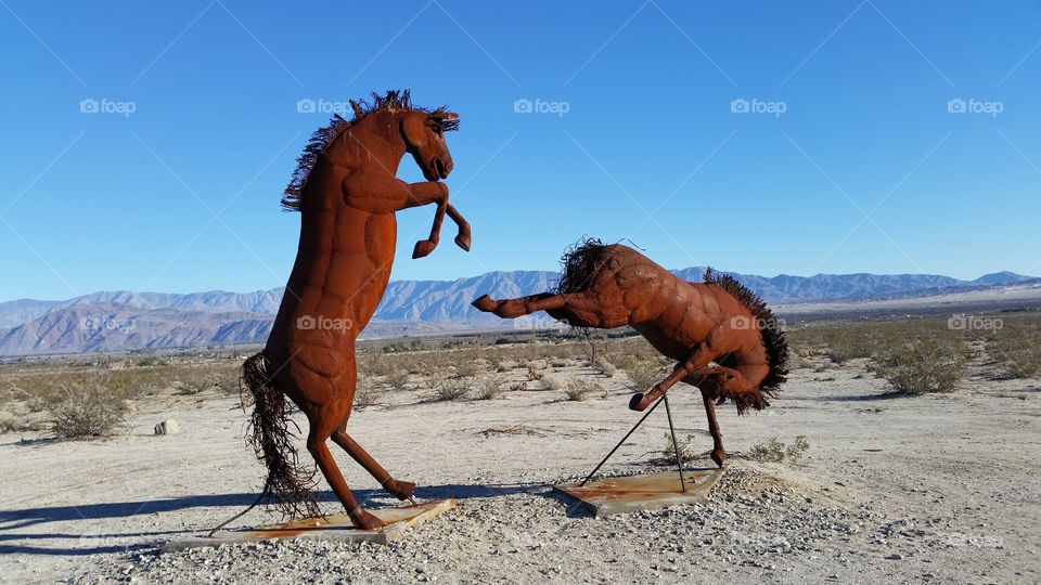 Kicking up a Fight Rusty Horses