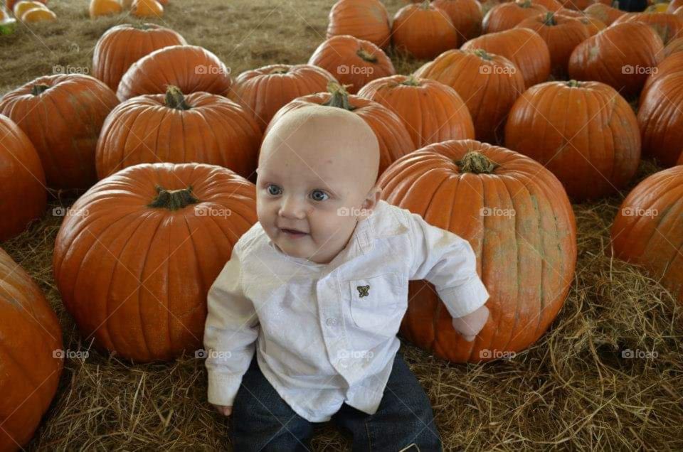 I pick this pumpkin right behind me