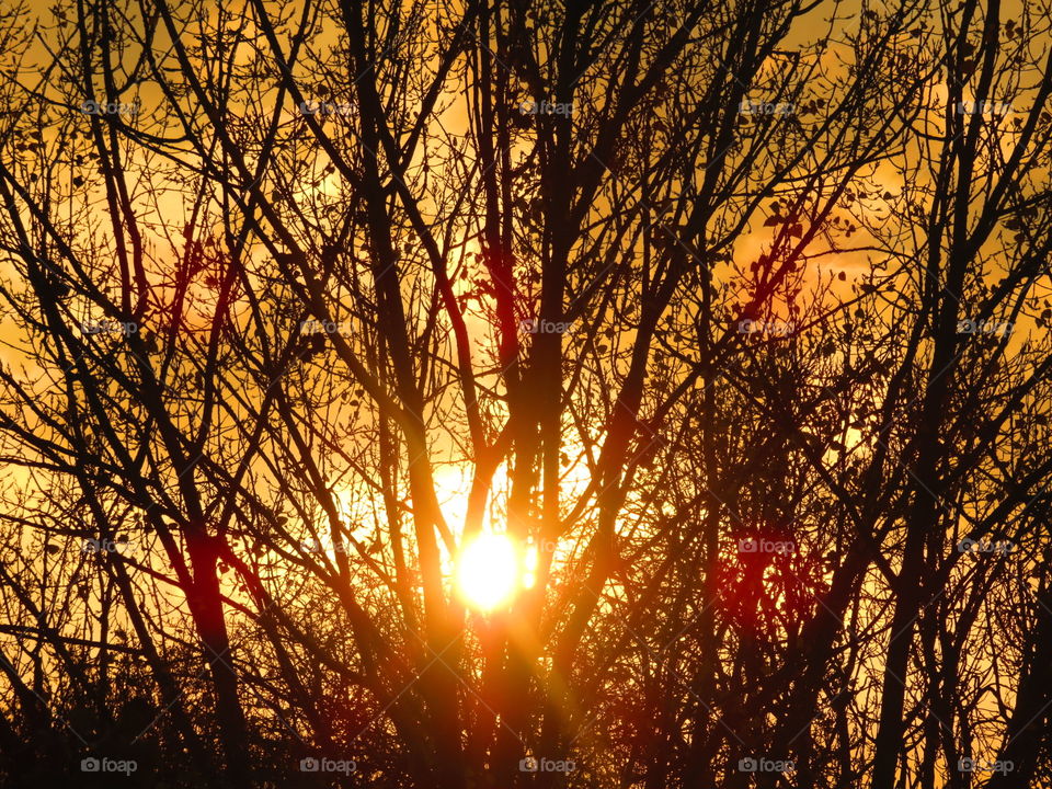 illuminating sunrays