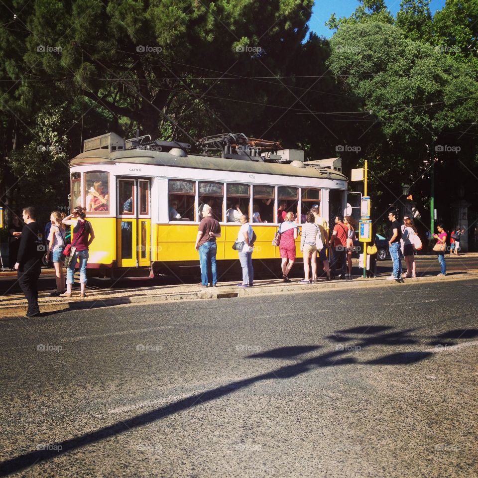 Tram. Tram in Lisbon 