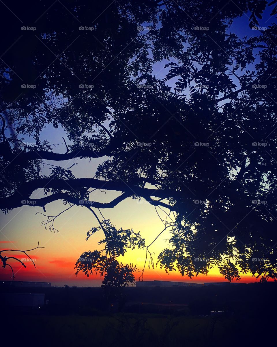 🌅Desperte, #Jundiaí. 
Que a jornada diária possa valer a pena!
🍃
#sol #sun #sky #céu #photo #nature #morning #alvorada #natureza #horizonte #fotografia #pictureoftheday #paisagem #inspiração #amanhecer #mobgraphy #mobgrafia #AmoJundiaí