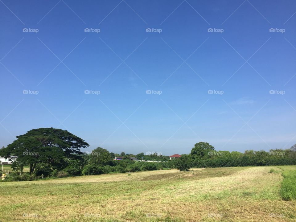 No Person, Landscape, Nature, Grass, Sky