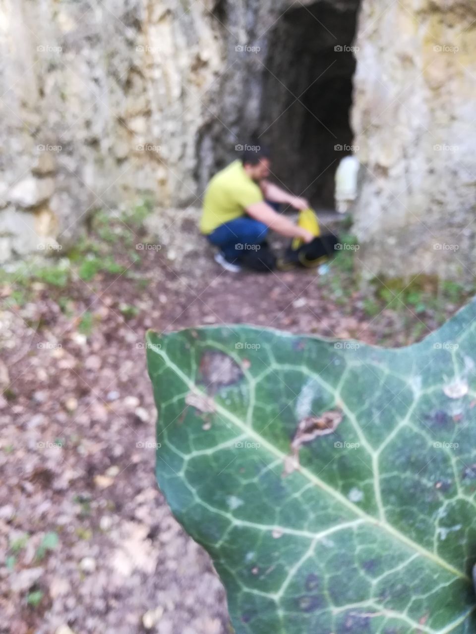 Nature, Climb, Outdoors, Leaf, One