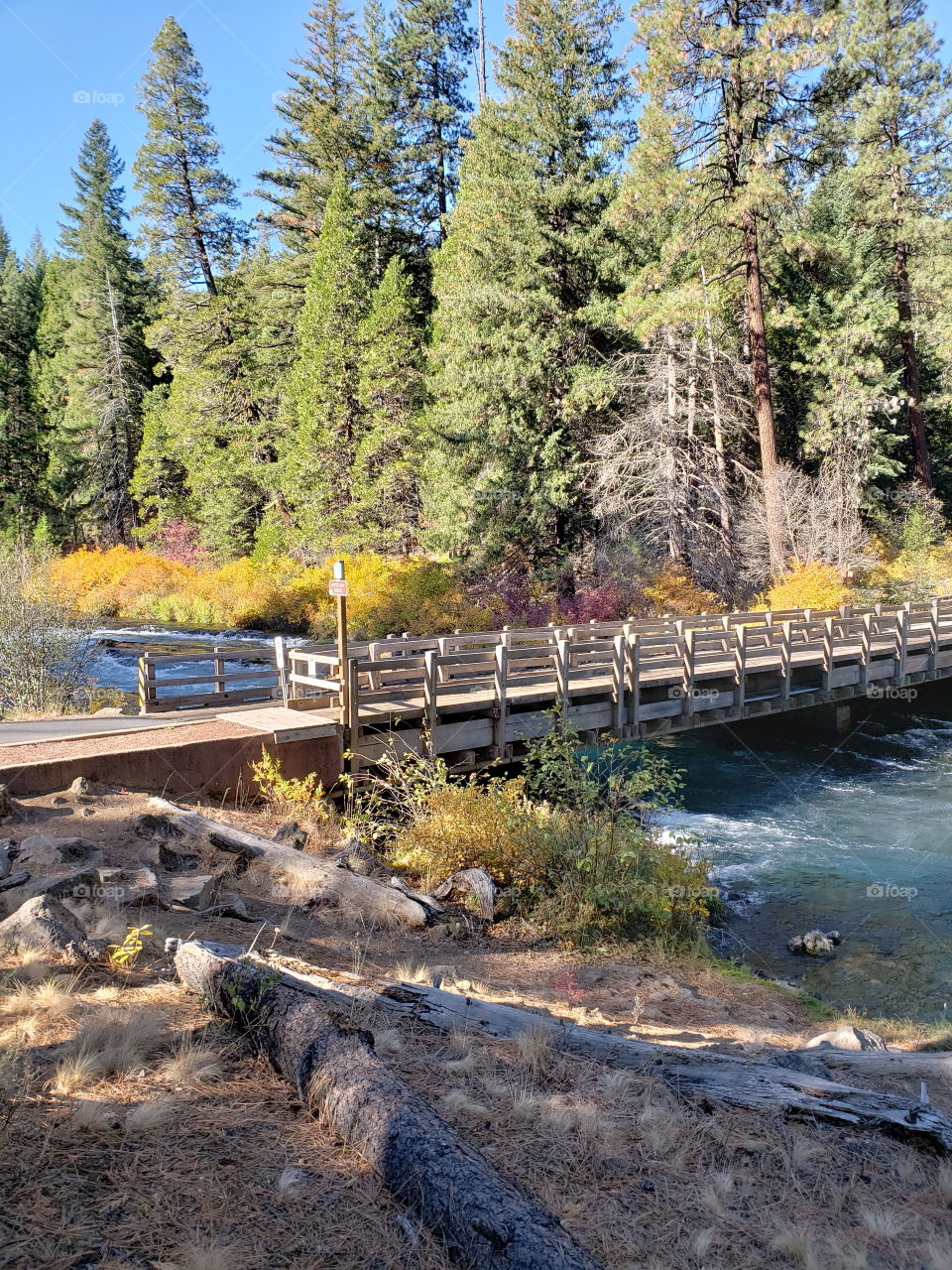 One-Lane bridge over the turquoise waters of the Metolius River at Wizard Falls with beautiful fall colors in the trees on its banks on a sunny Central Oregon autumn morning. 