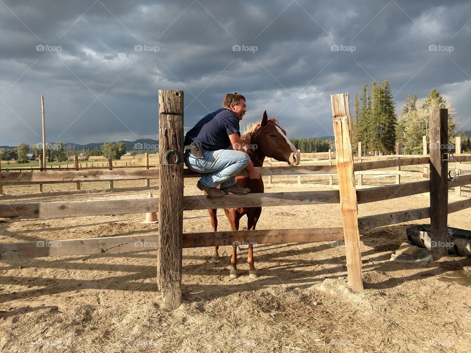 relax, horse, equine, man, fence, country, farm