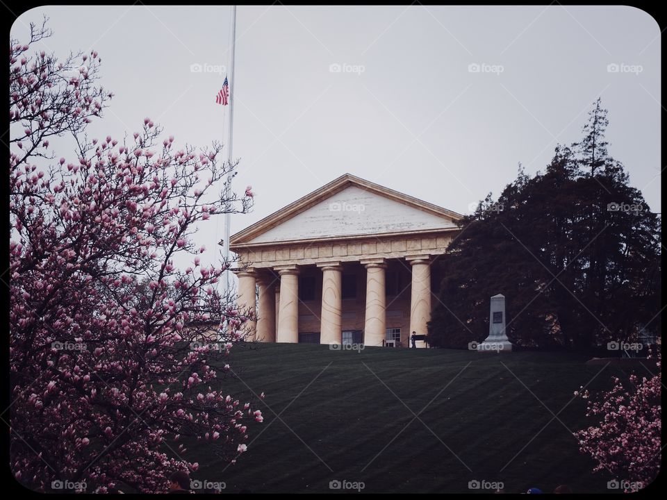 Architecture in Arlington