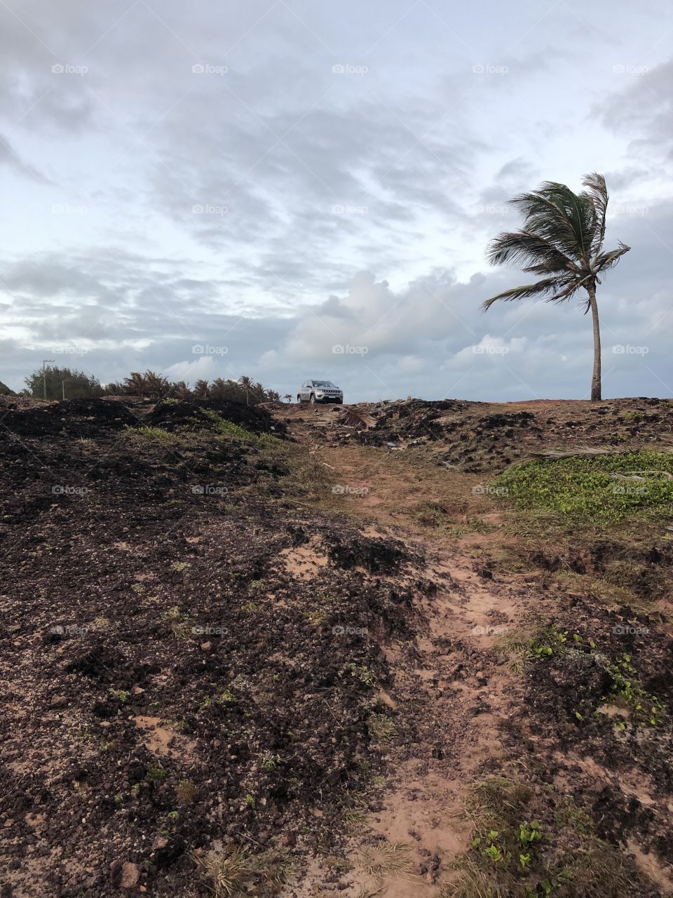 Jeep Compass on an off road trail