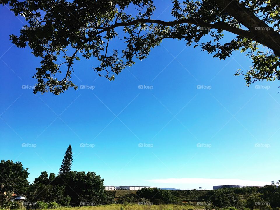 🗾 #BLUE #SKY - 
Um #céu azul totalmente inspirador, embelezando o #domingo!
☁️ 
#natureza
#paisagem
#fotografia
#inspiração