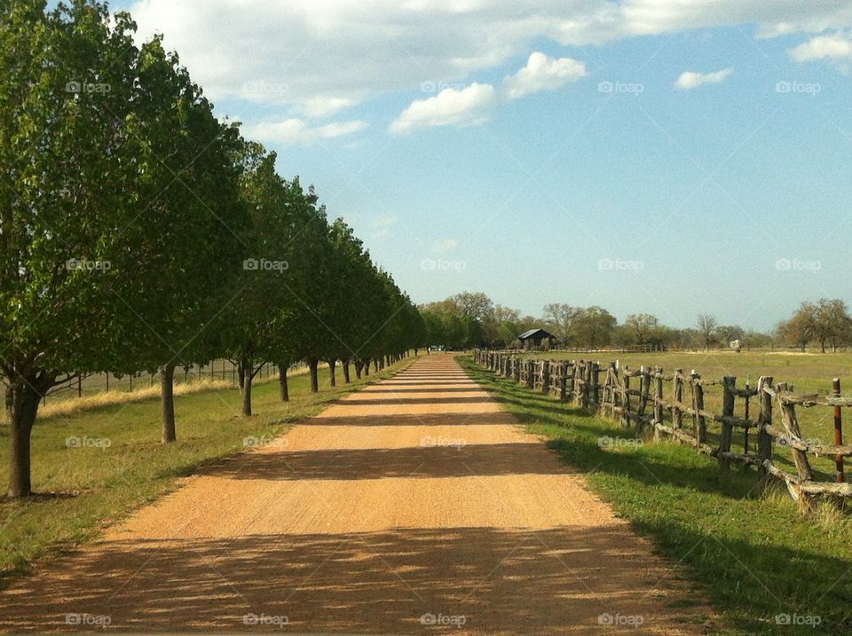 A Stroll through the Countryside- Texas. A private dirt country road lined by trees on the left and a rickety wooden fence on the right. Sun, blue skies and white clouds over head