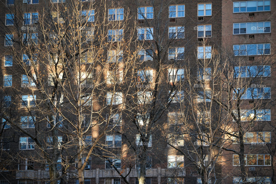 house front with reflections 