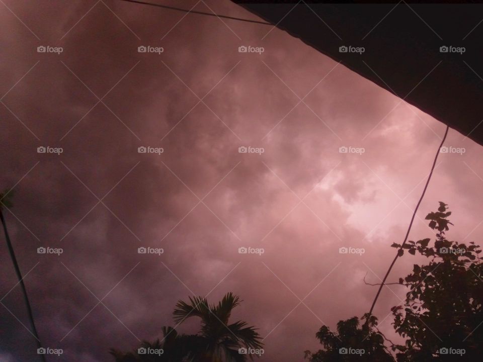 upload photo of the Nature