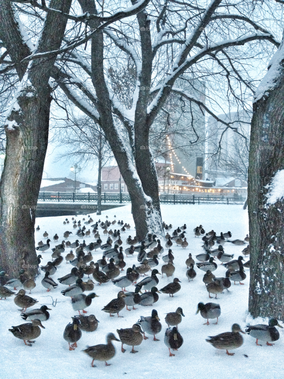 snow winter street sweden by piaktw