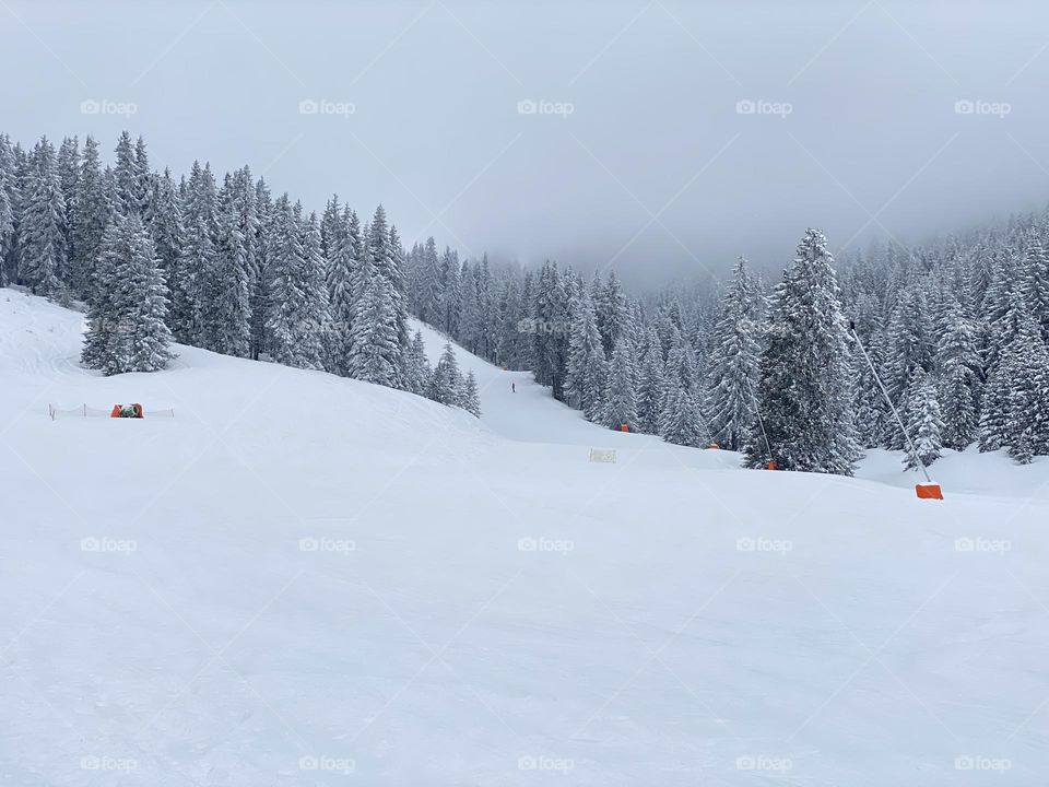 Beautiful winter landscape in Bulgarian resort Pamporovo