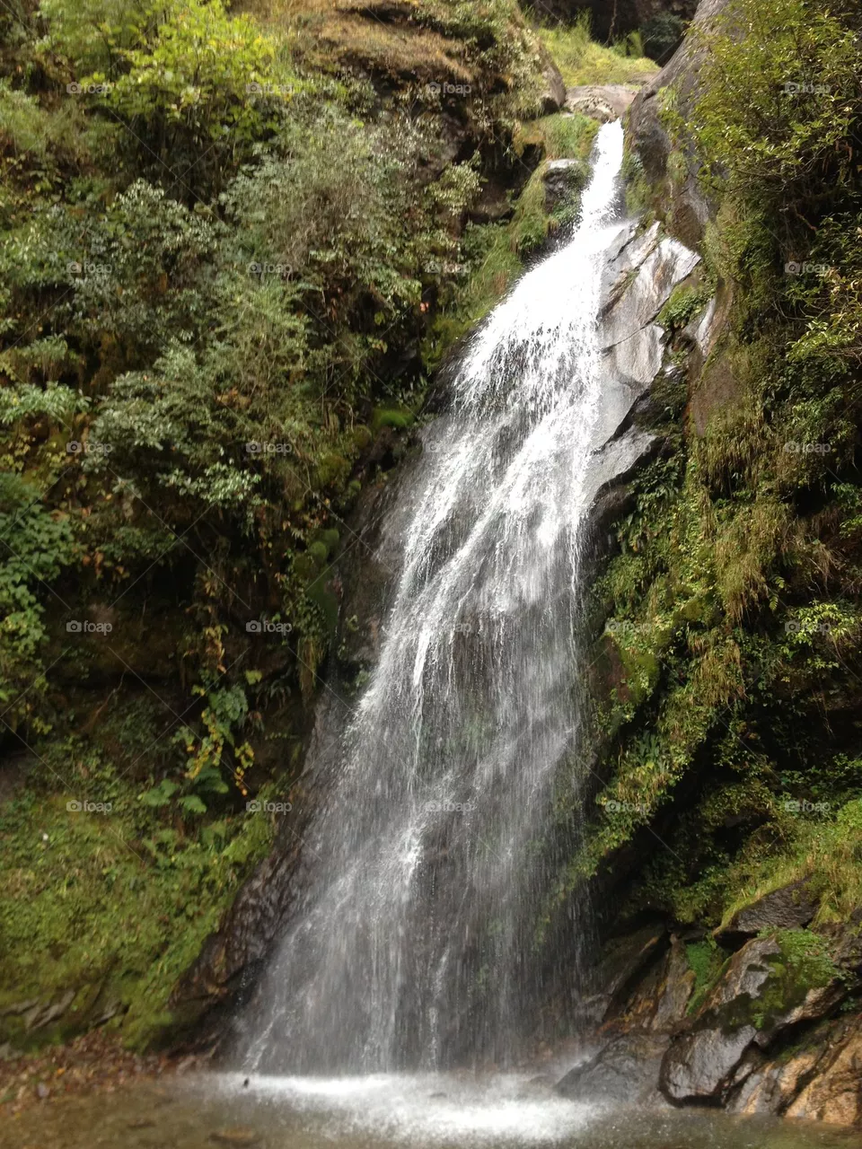 water fell