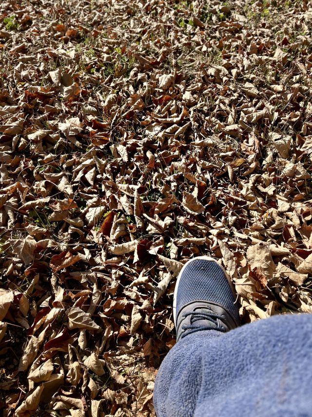 Fall 