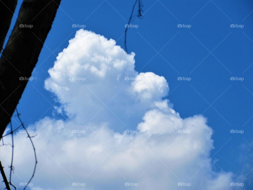 growing cloud