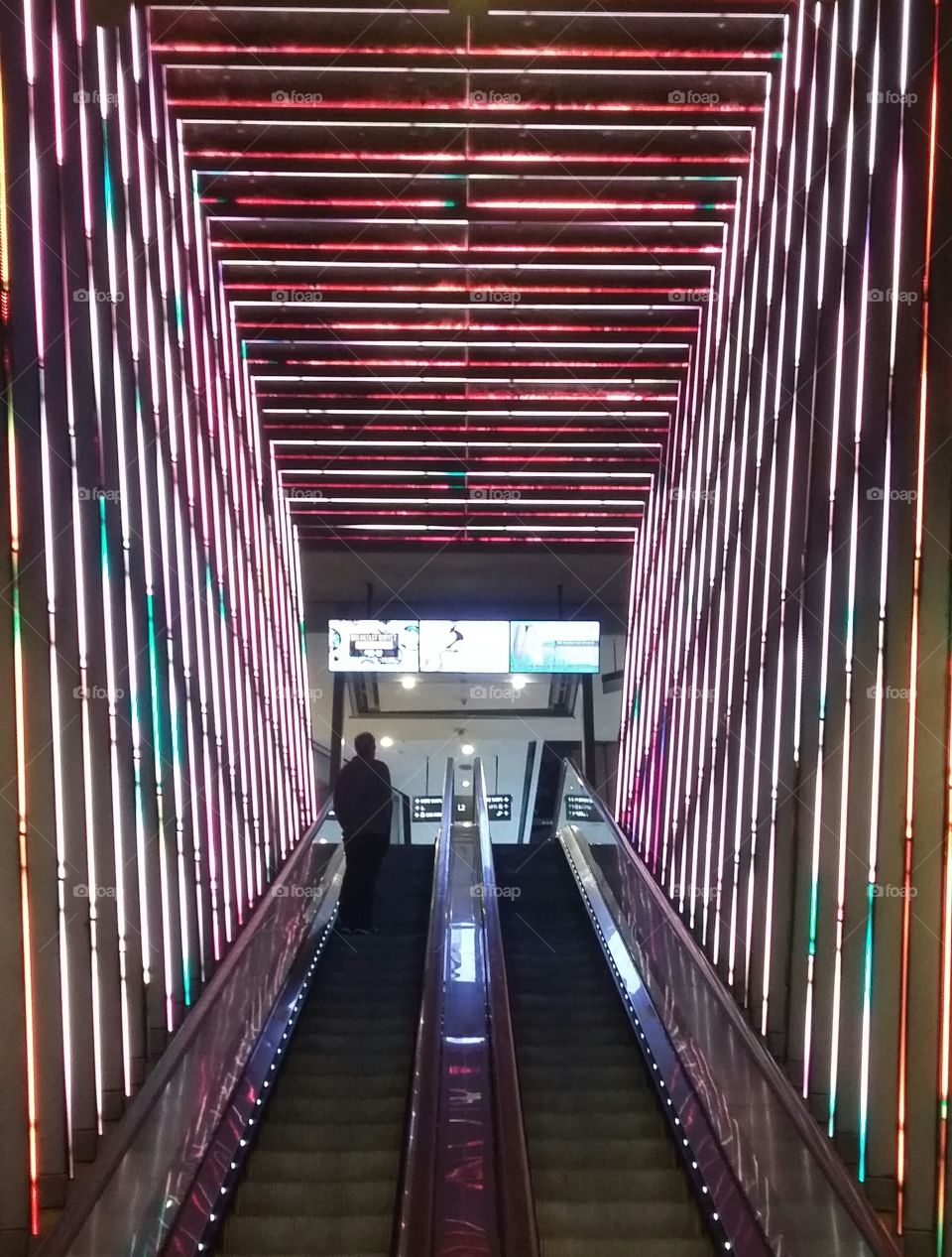 electric Steps