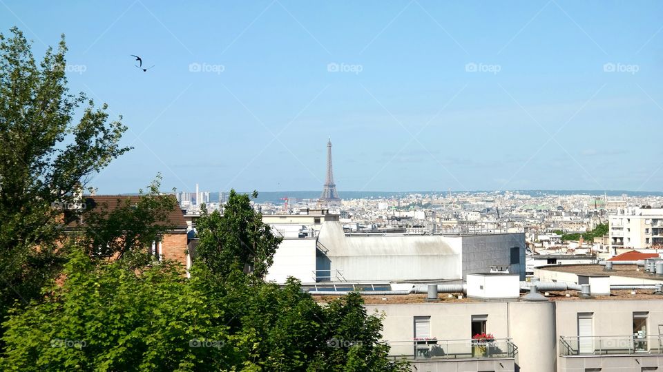 Eiffel Tower (Paris, France)