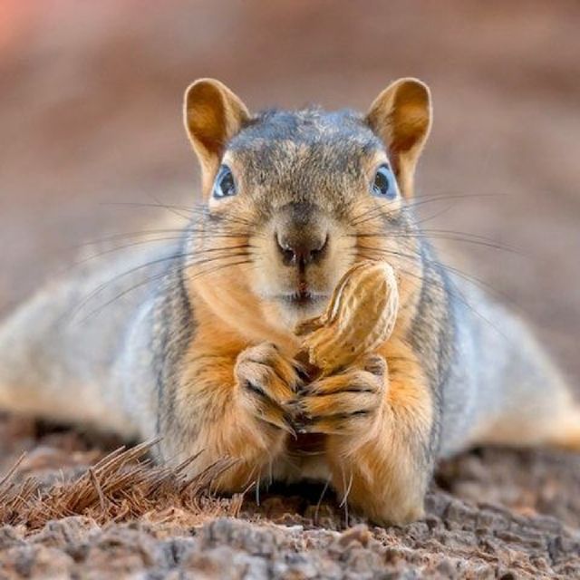 cute😍😘