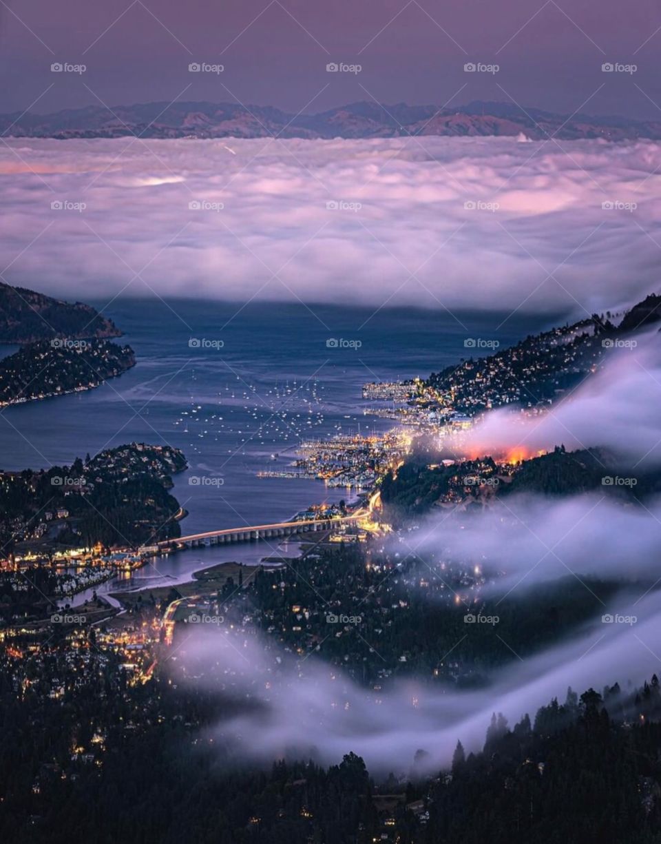 Fog rolls in over the bay