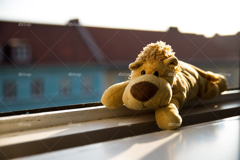 Traveling in Malmo with Oslo the lion