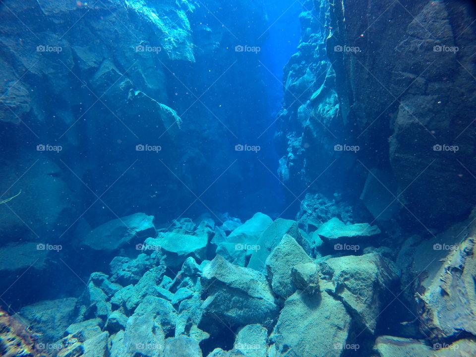 Snorkeling in between tectonic plates