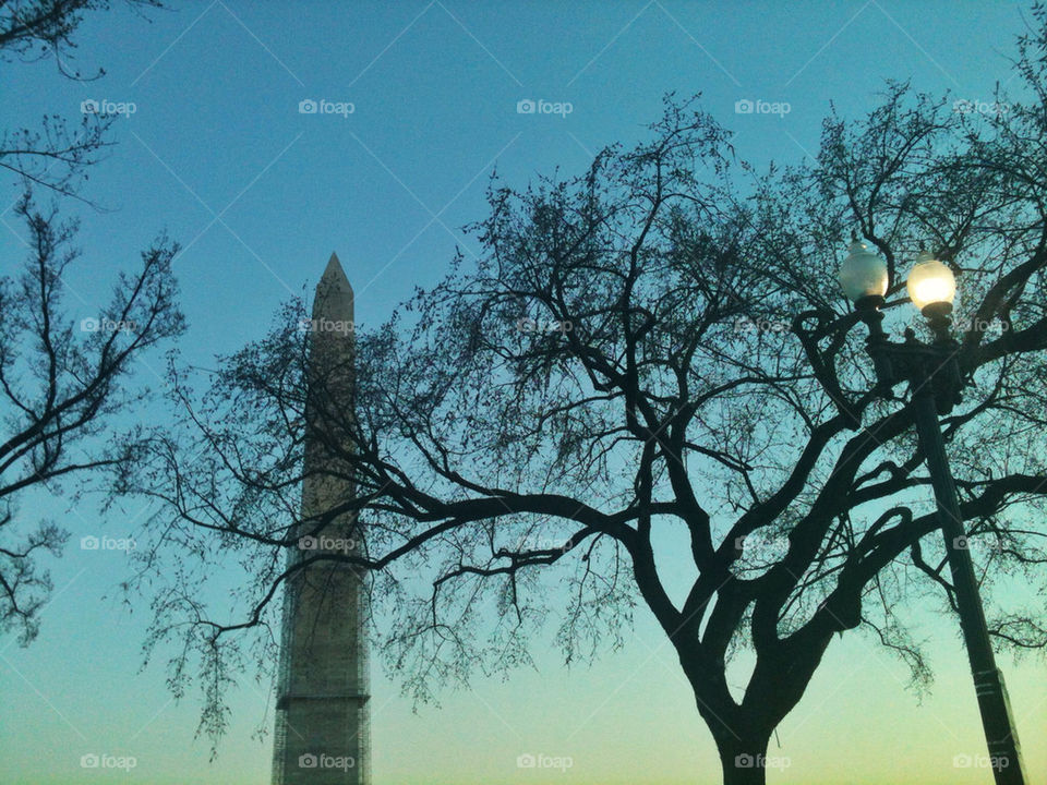 View of the Washington Monument through trees at dusk.