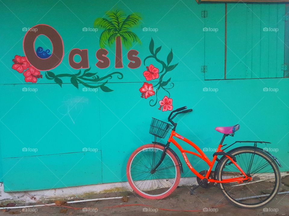 fluorescent rented orange cruiser bike leaning agains turquoise wall of Oasis hostel in Puerto Viejo, Costa Rica
