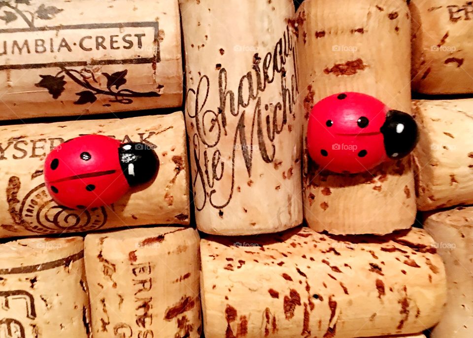 2 ladybugs on a cork board 