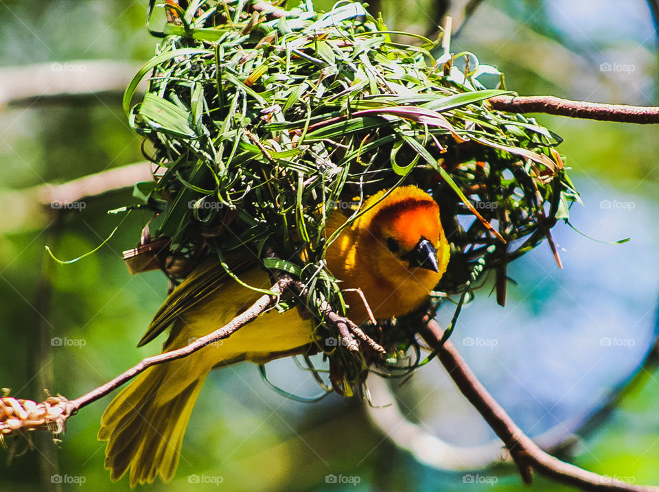 Spring time in the valley