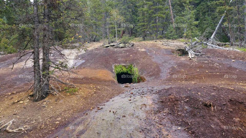 Moss around an old mine shaft!