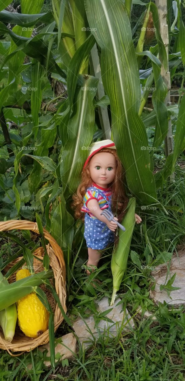 as I am doll getting corn for fun