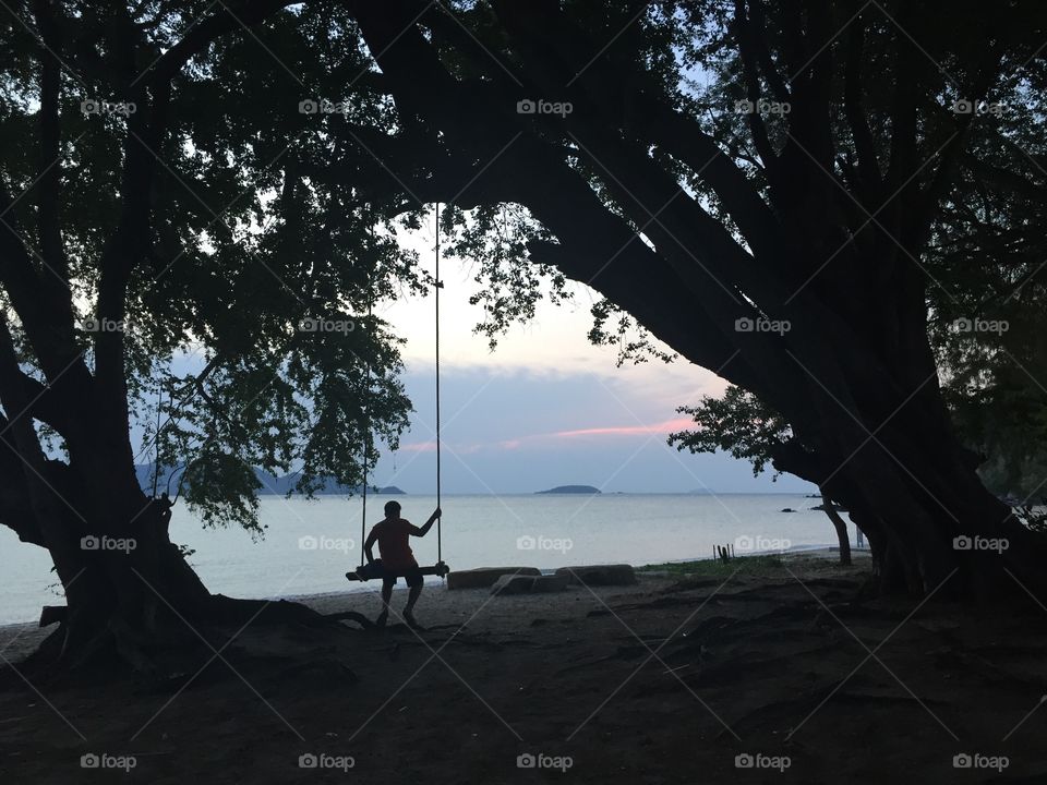 Tree, No Person, Backlit, Water, People