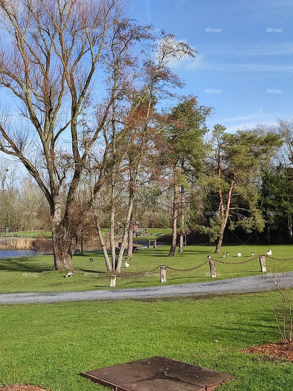Visit of the castle of Havré, Hainaut